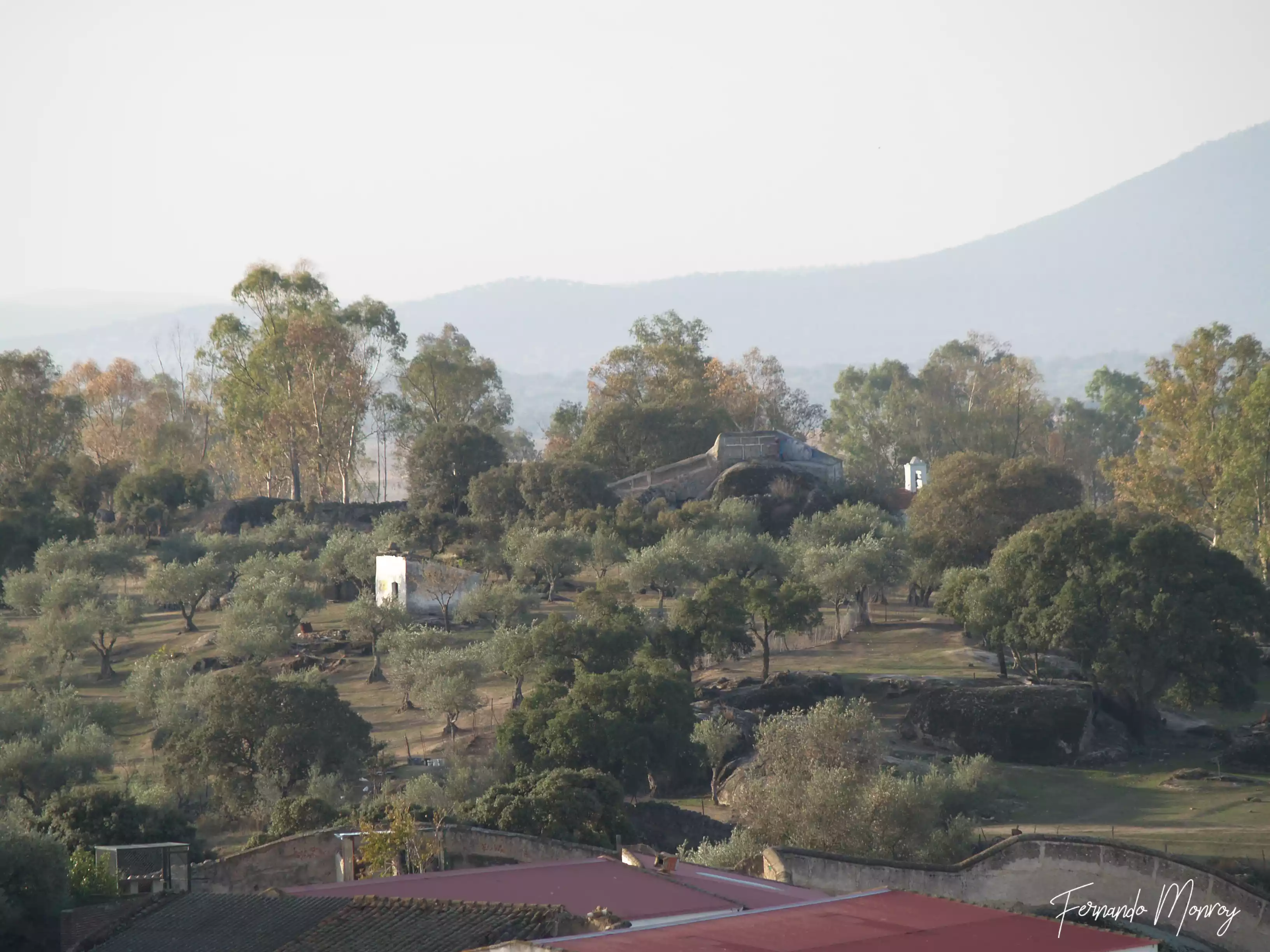Malpartida desde lo alto