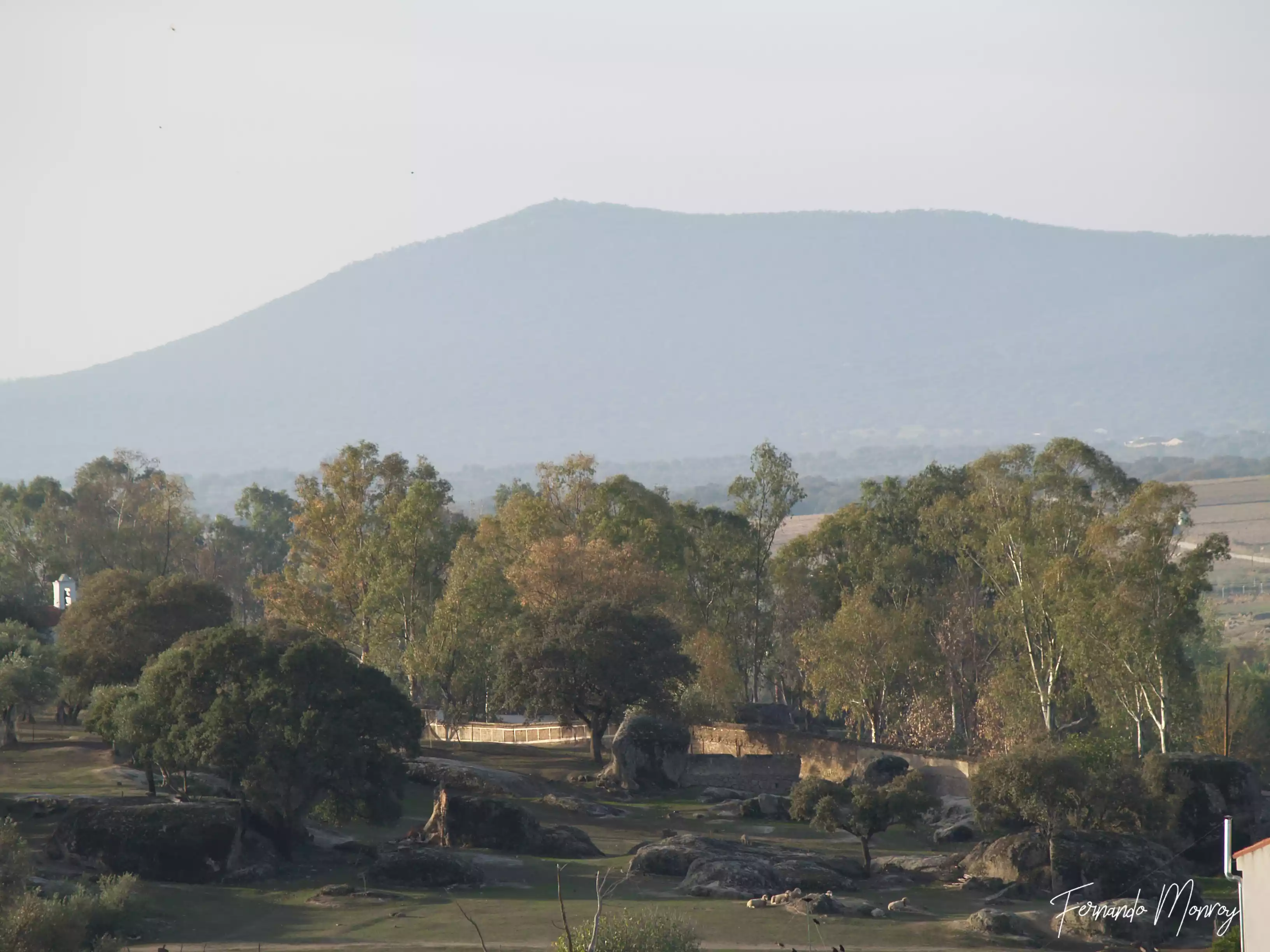 Malpartida desde lo alto