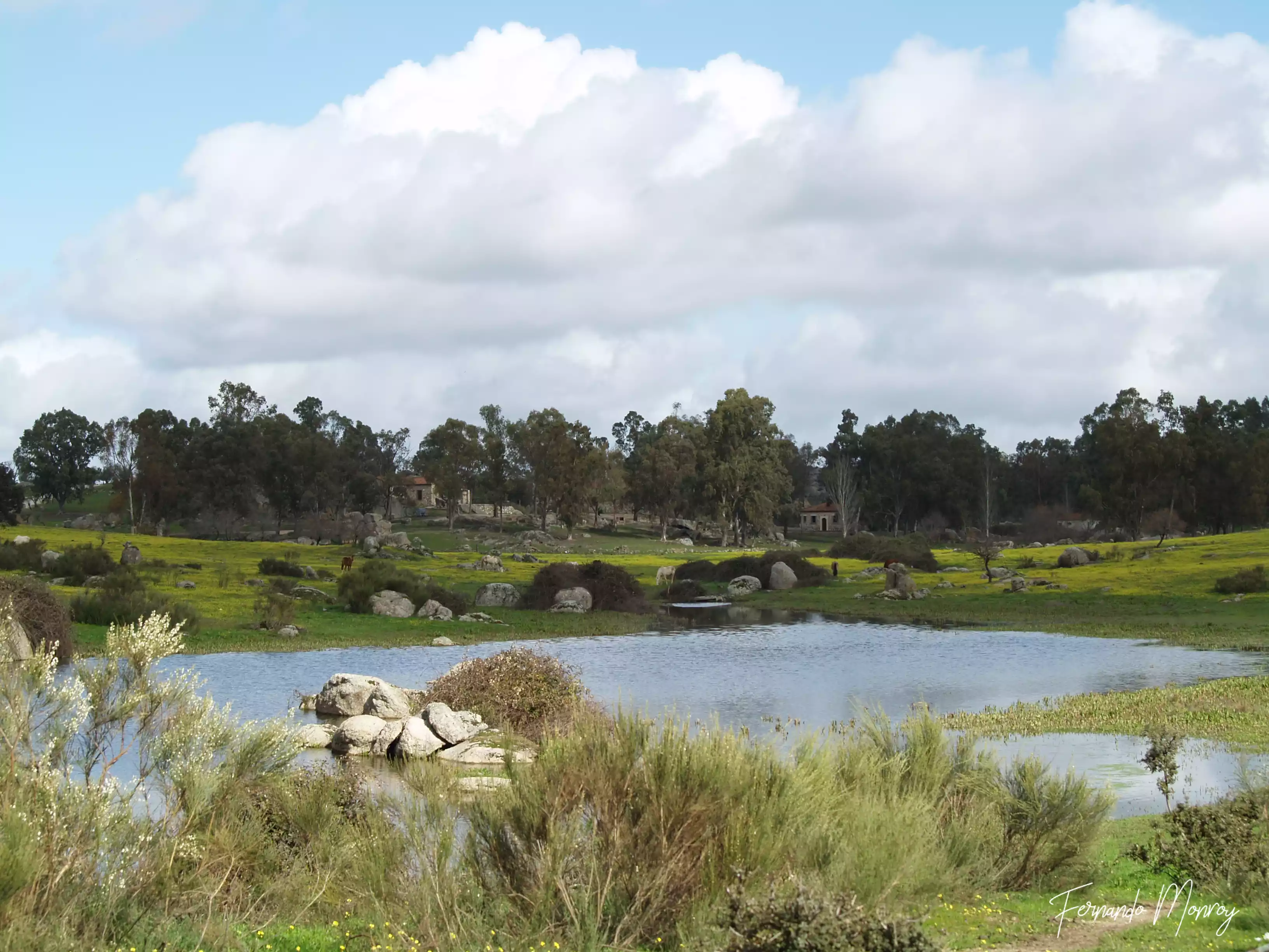 Charcas de la Cigüeñuela y de la Cigüeña