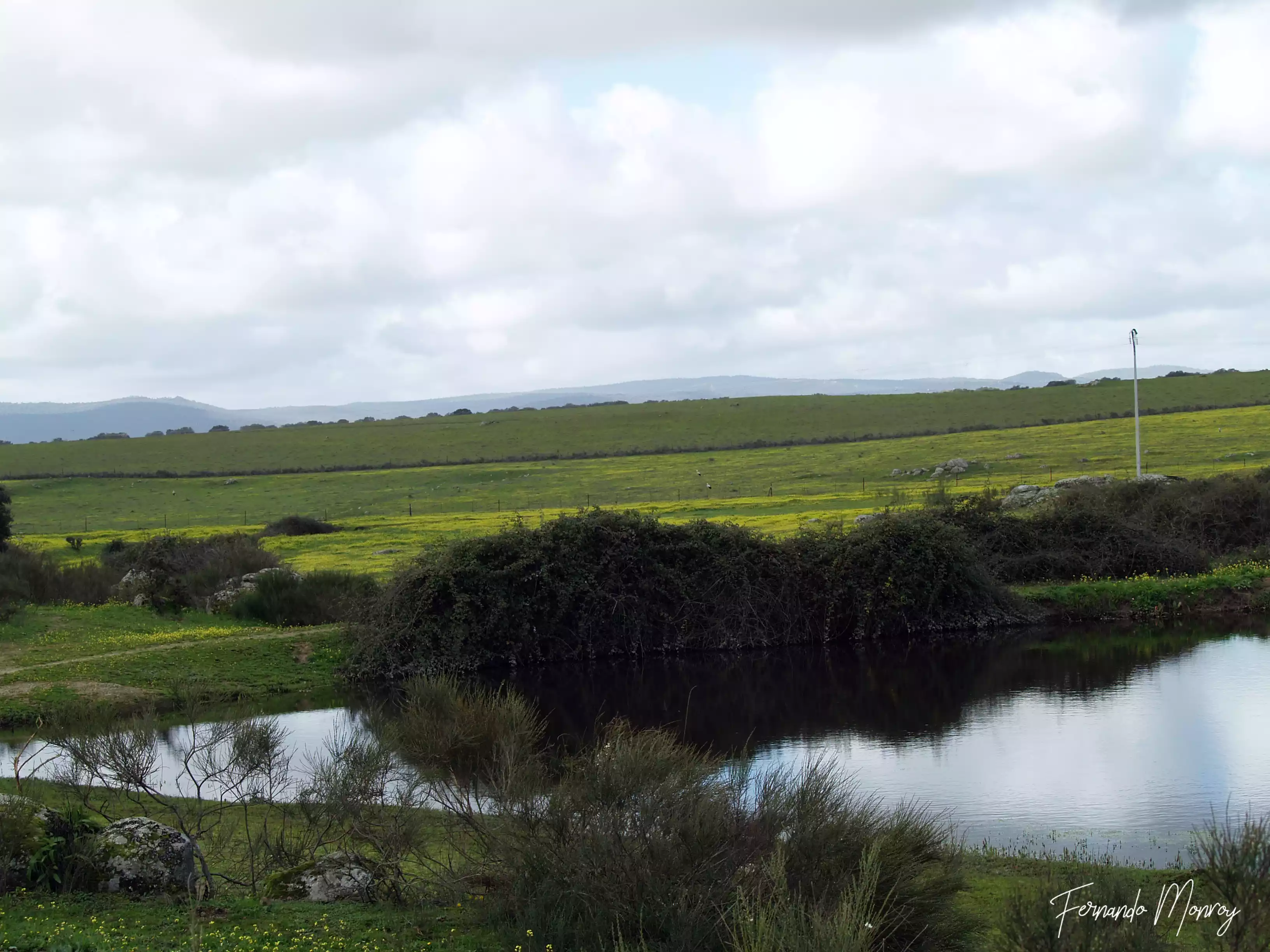 Charcas de la Cigüeñuela y de la Cigüeña