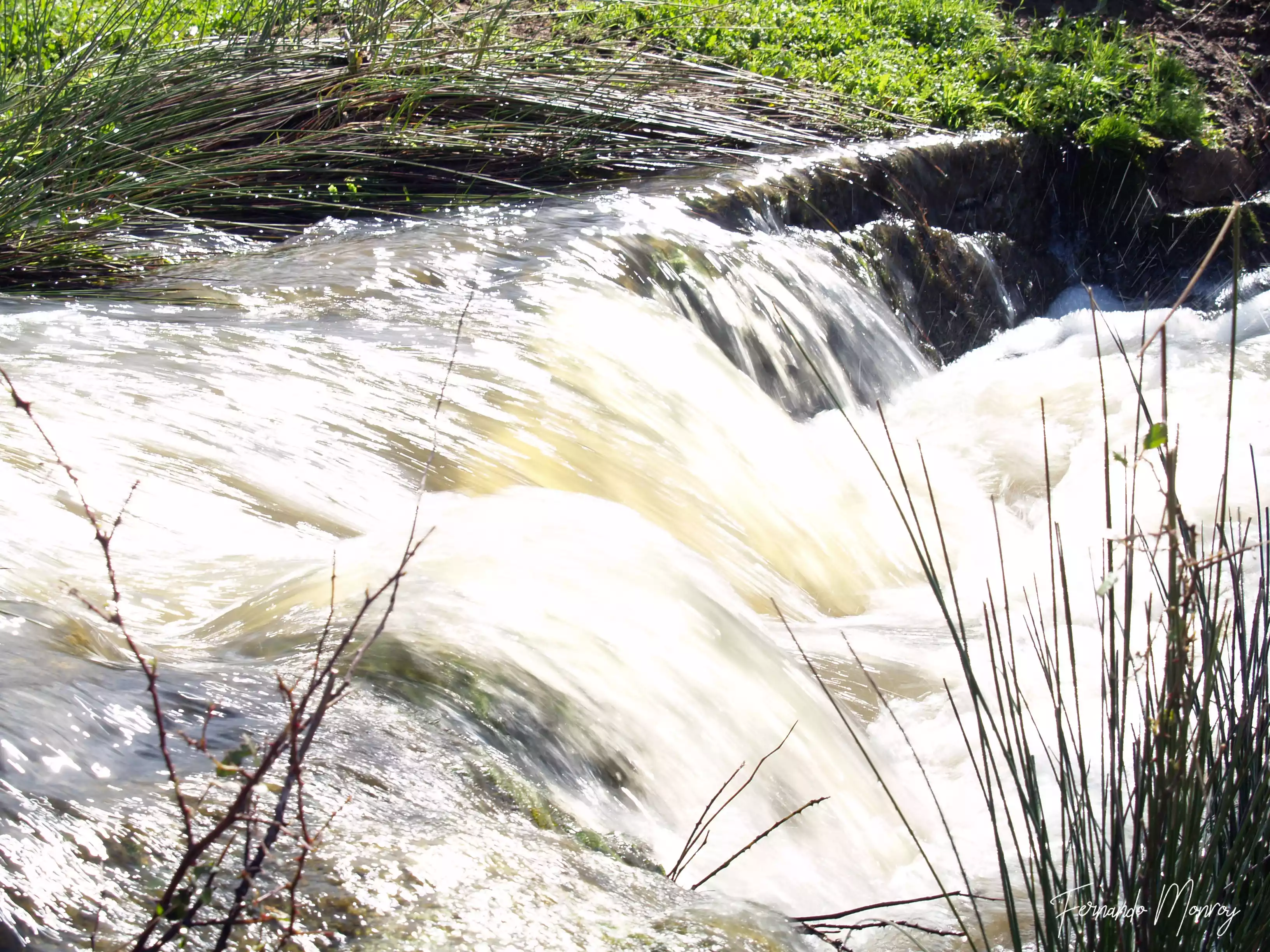 Charca de Lancho, febrero 2010