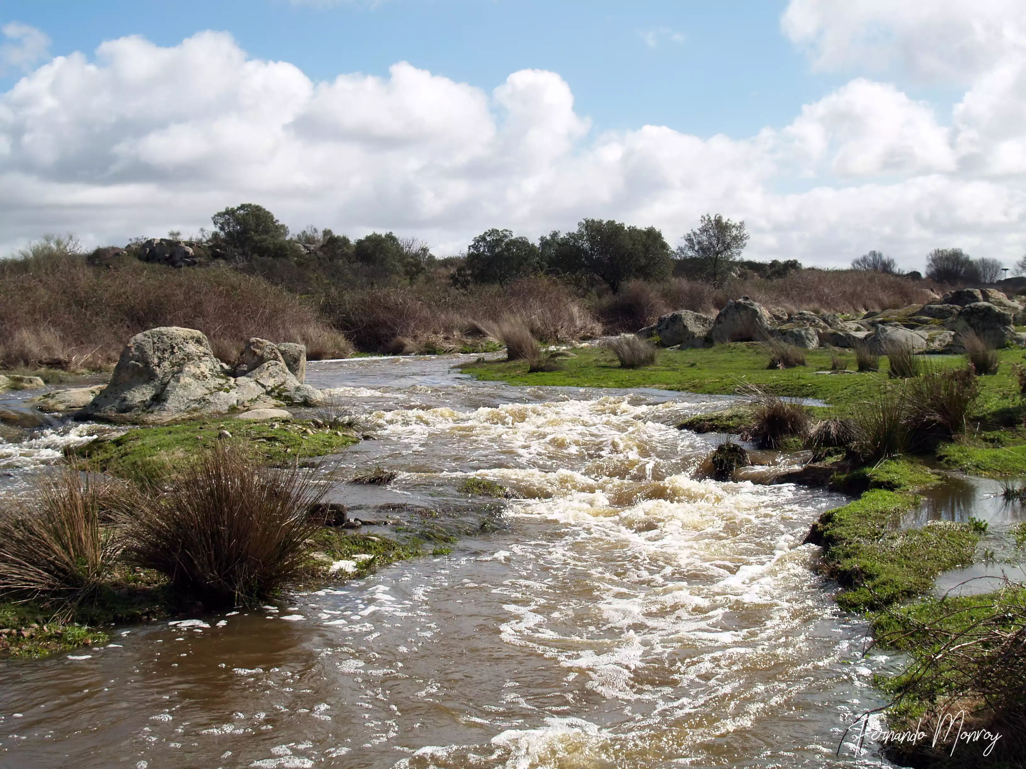 Charca de Lancho, febrero 2010