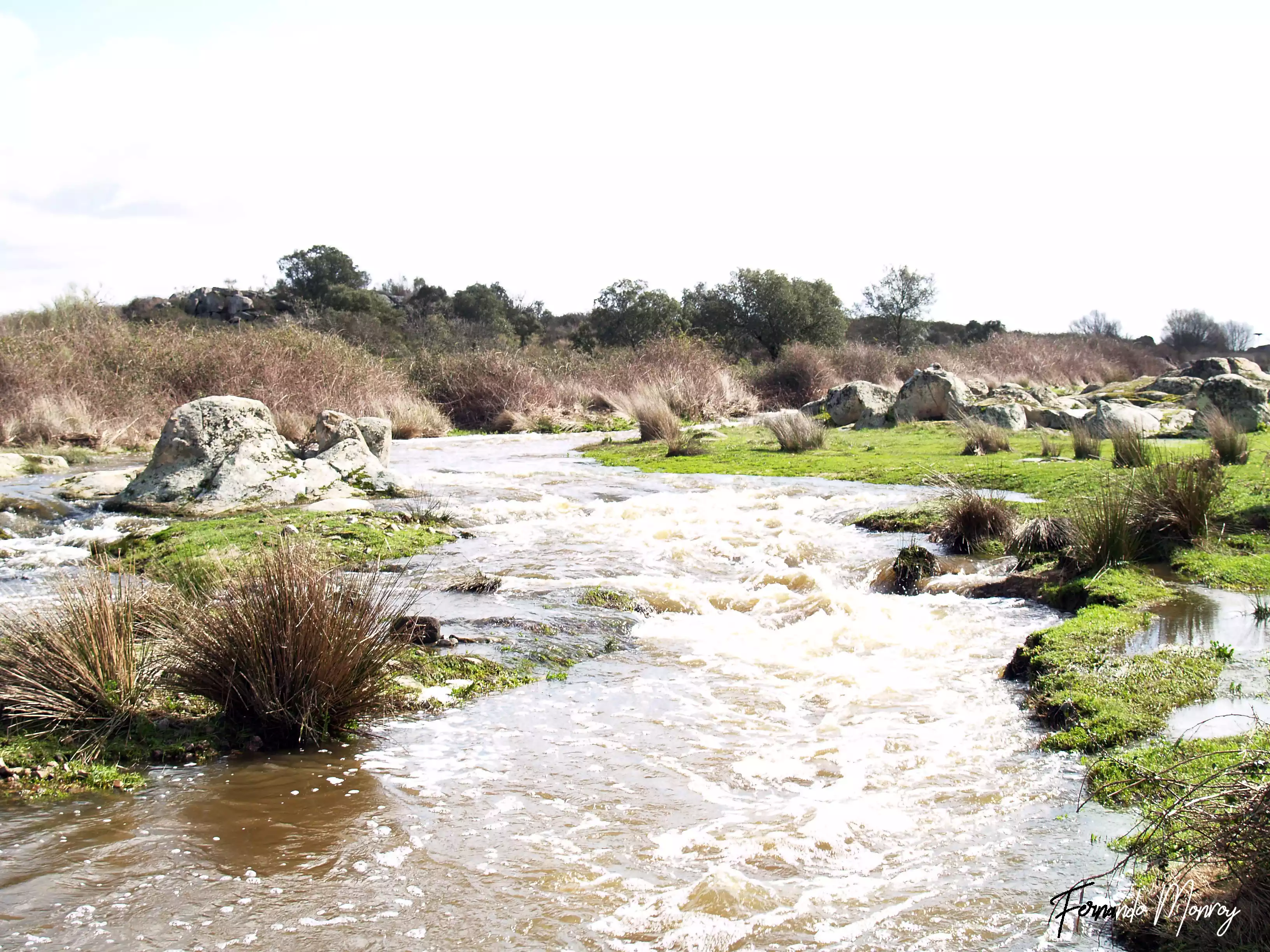 Charca de Lancho, febrero 2010