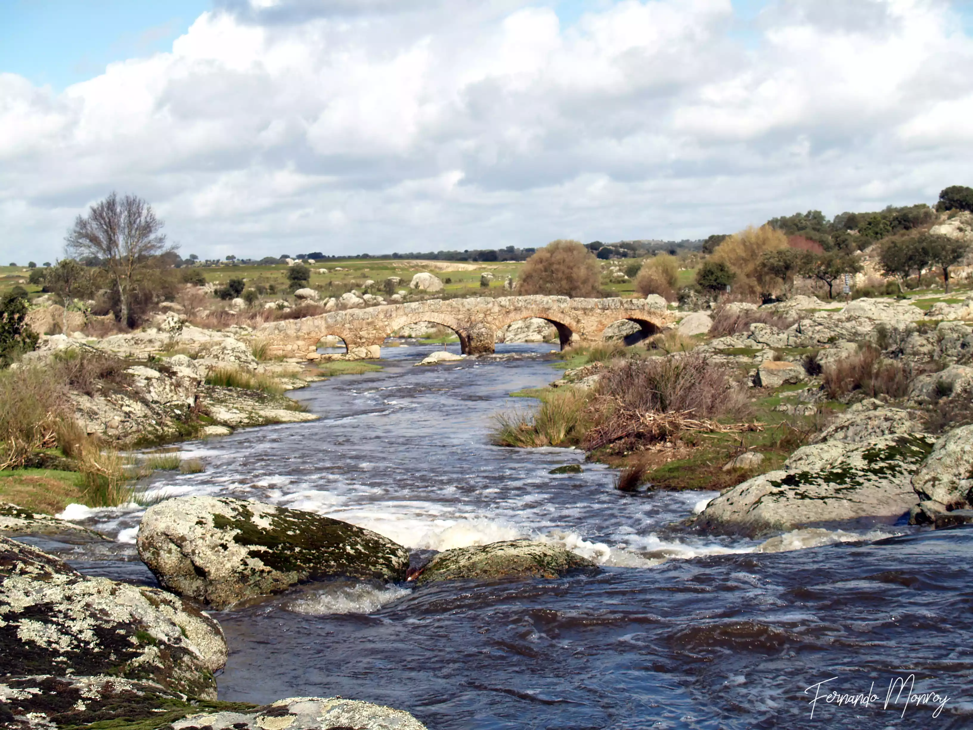 Charca de Lancho, febrero 2010