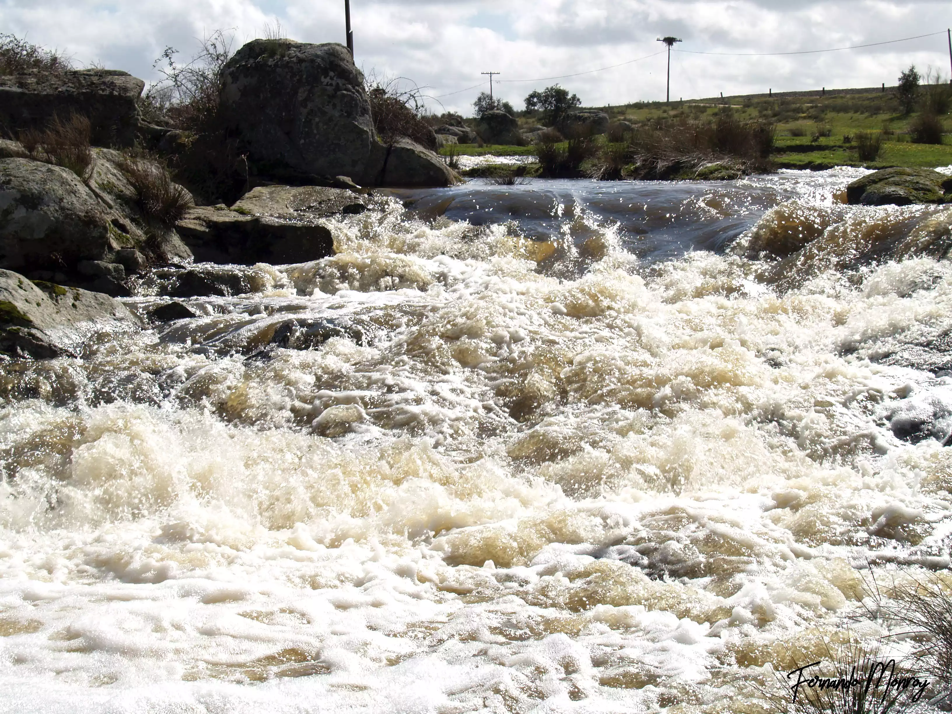 Charca de Lancho, febrero 2010