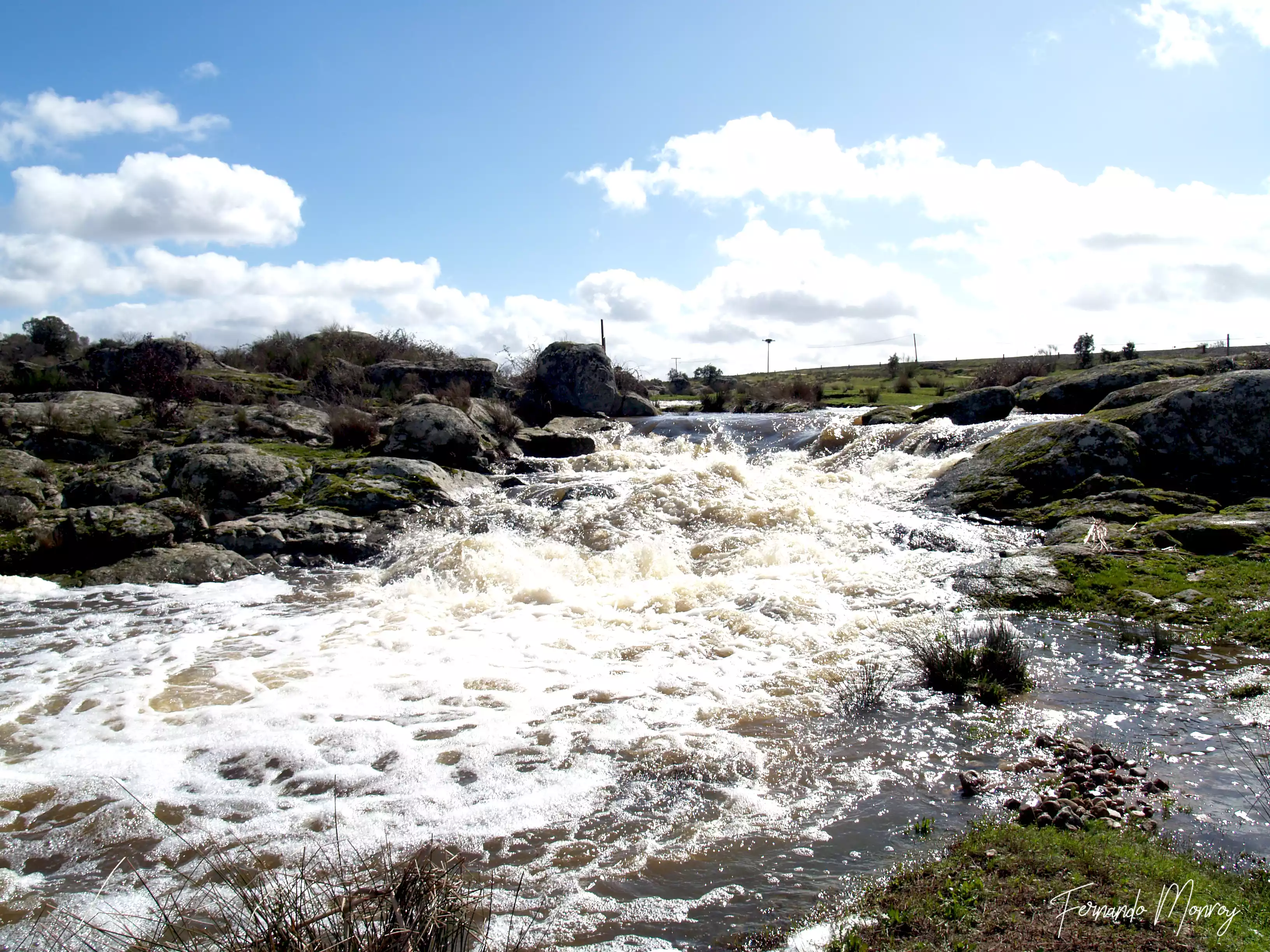 Charca de Lancho, febrero 2010