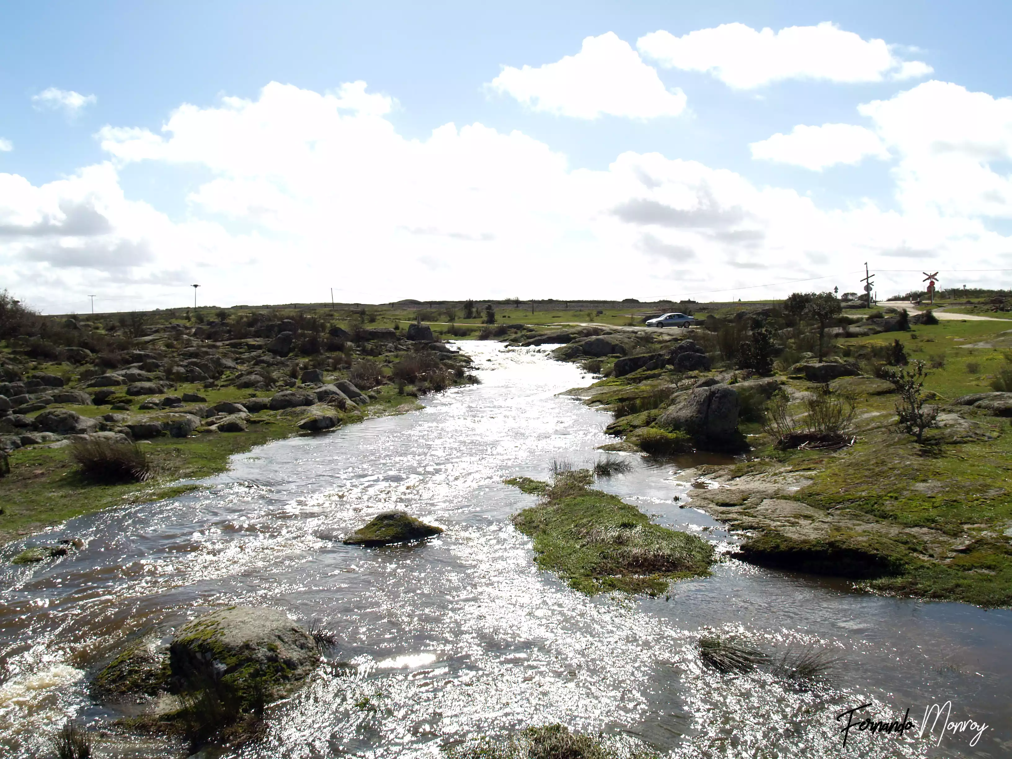 Charca de Lancho, febrero 2010
