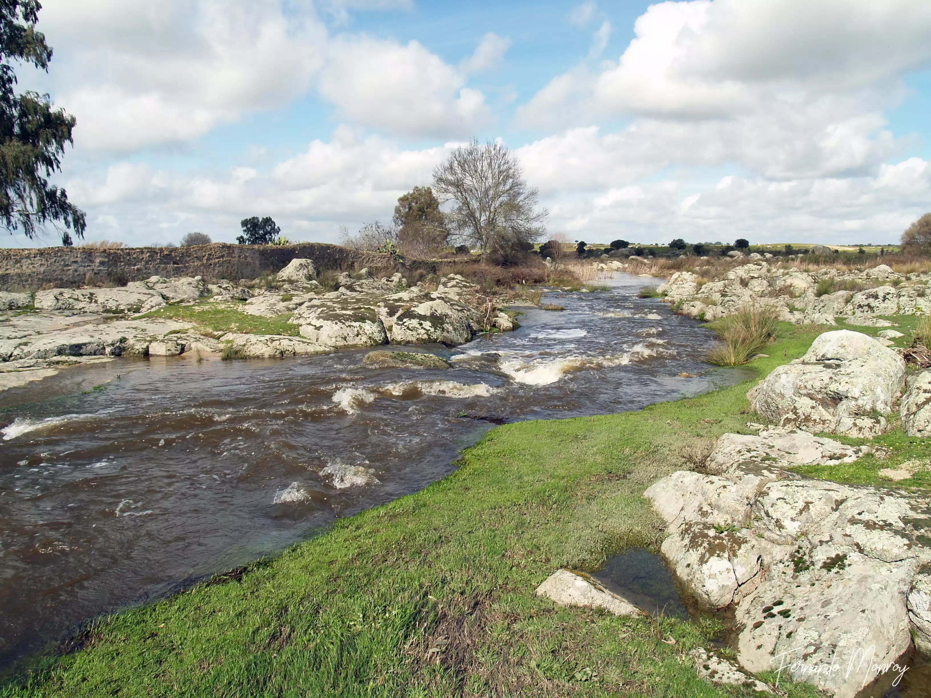 Charca de Lancho, febrero 2010