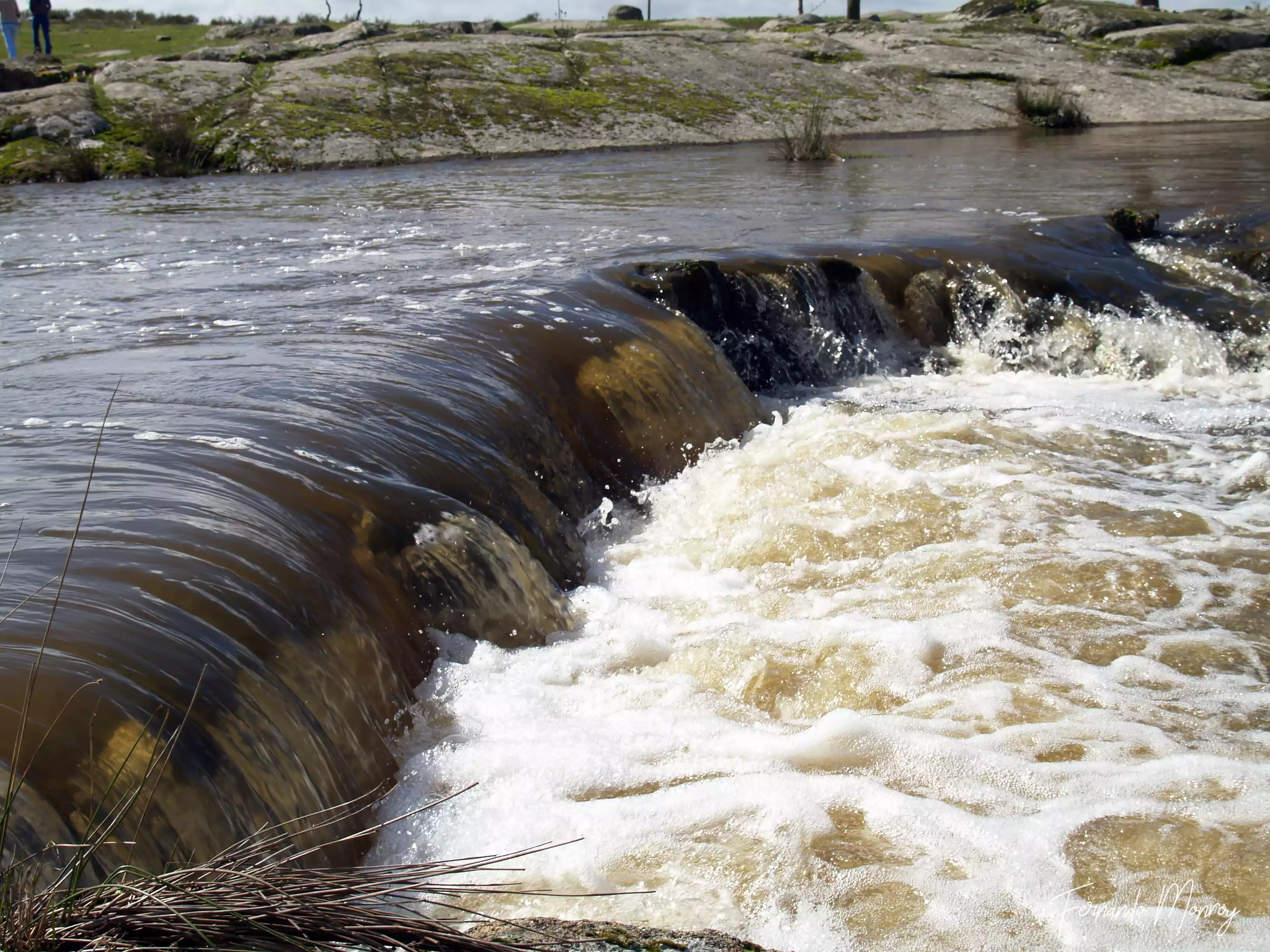 Charca de Lancho, febrero 2010