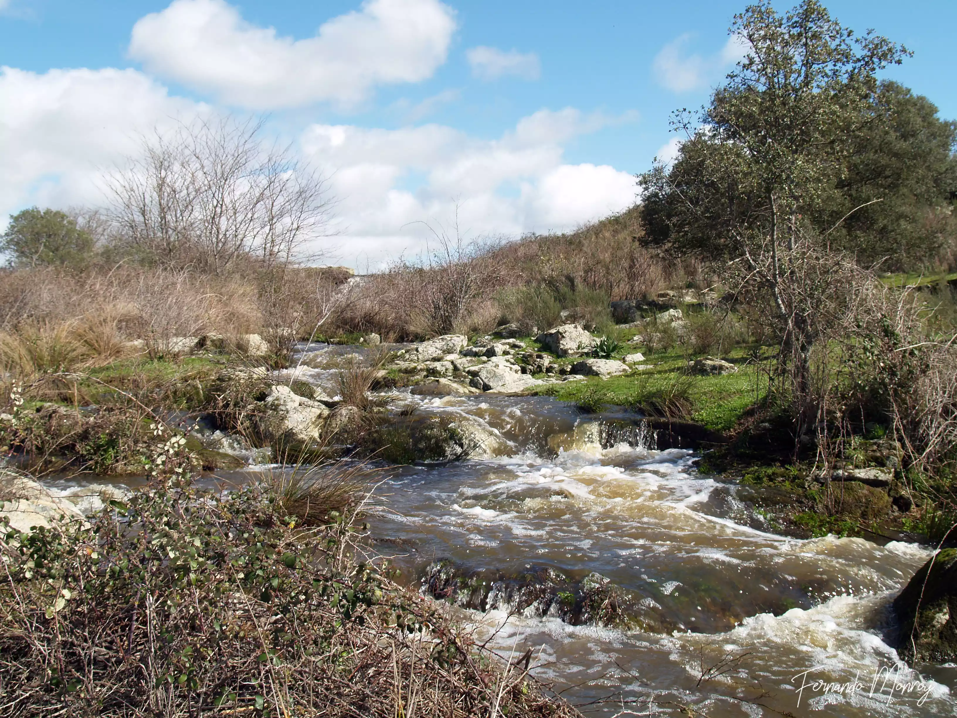 Charca de Lancho, febrero 2010