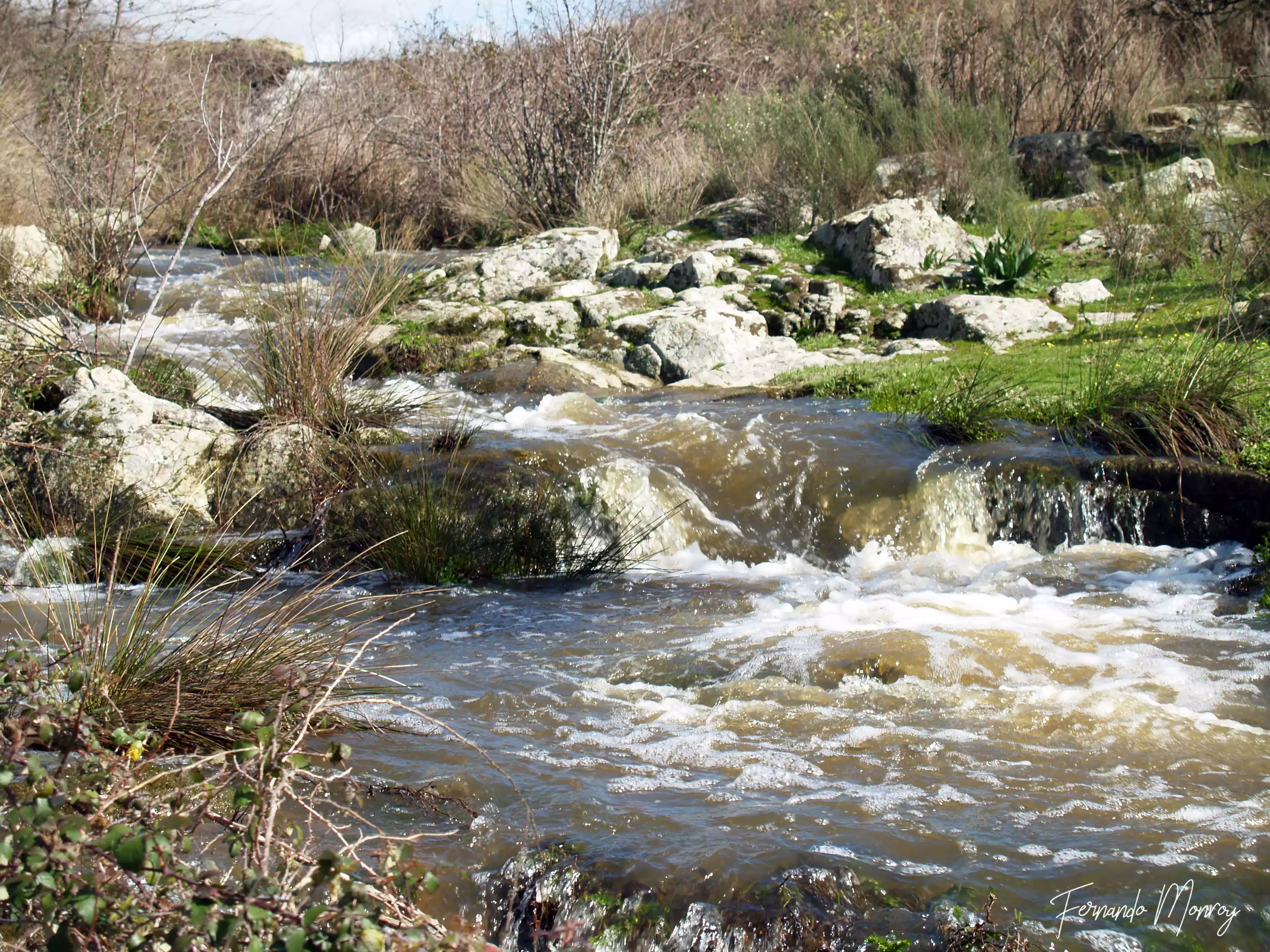 Charca de Lancho, febrero 2010