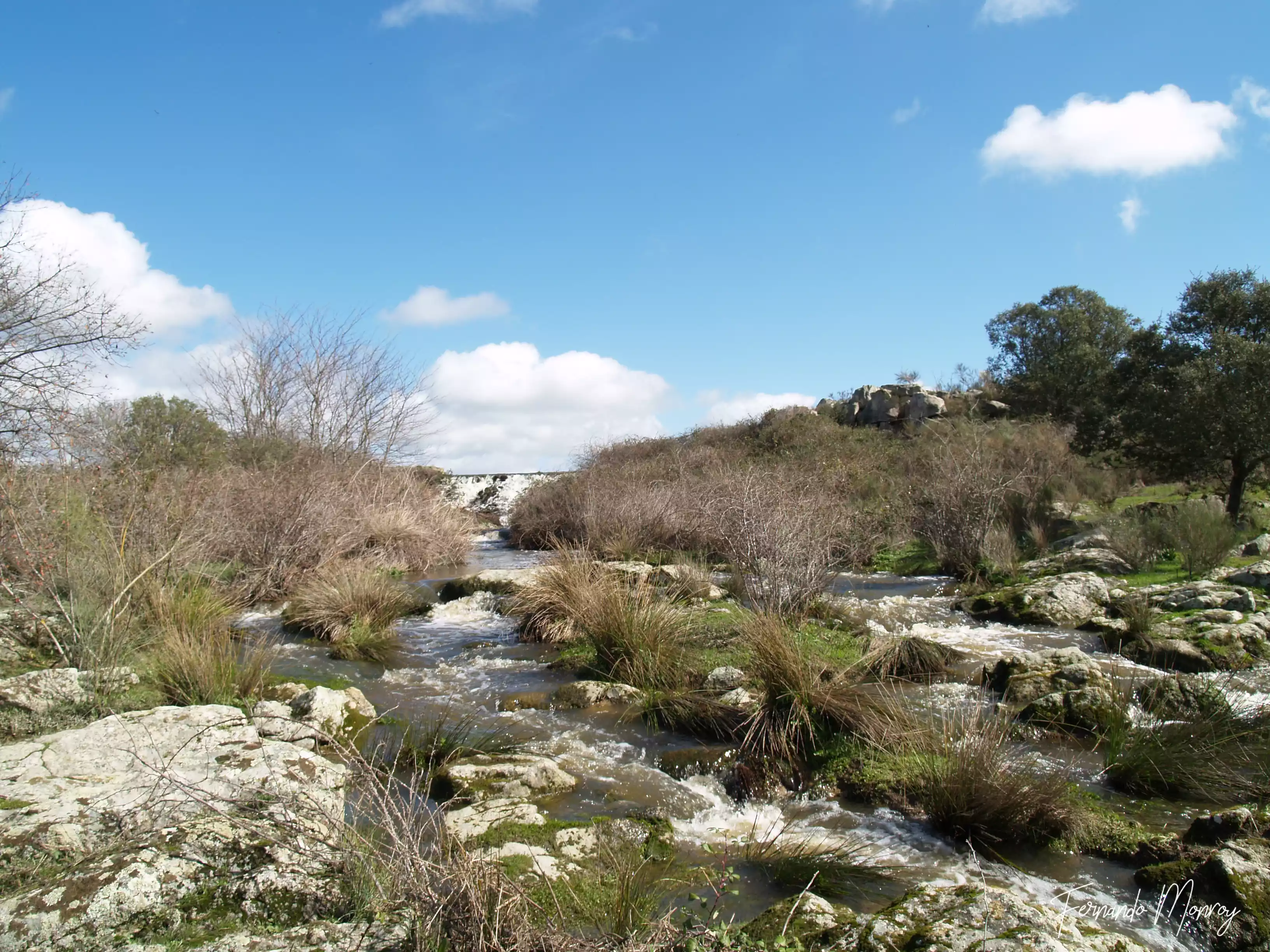 Charca de Lancho, febrero 2010