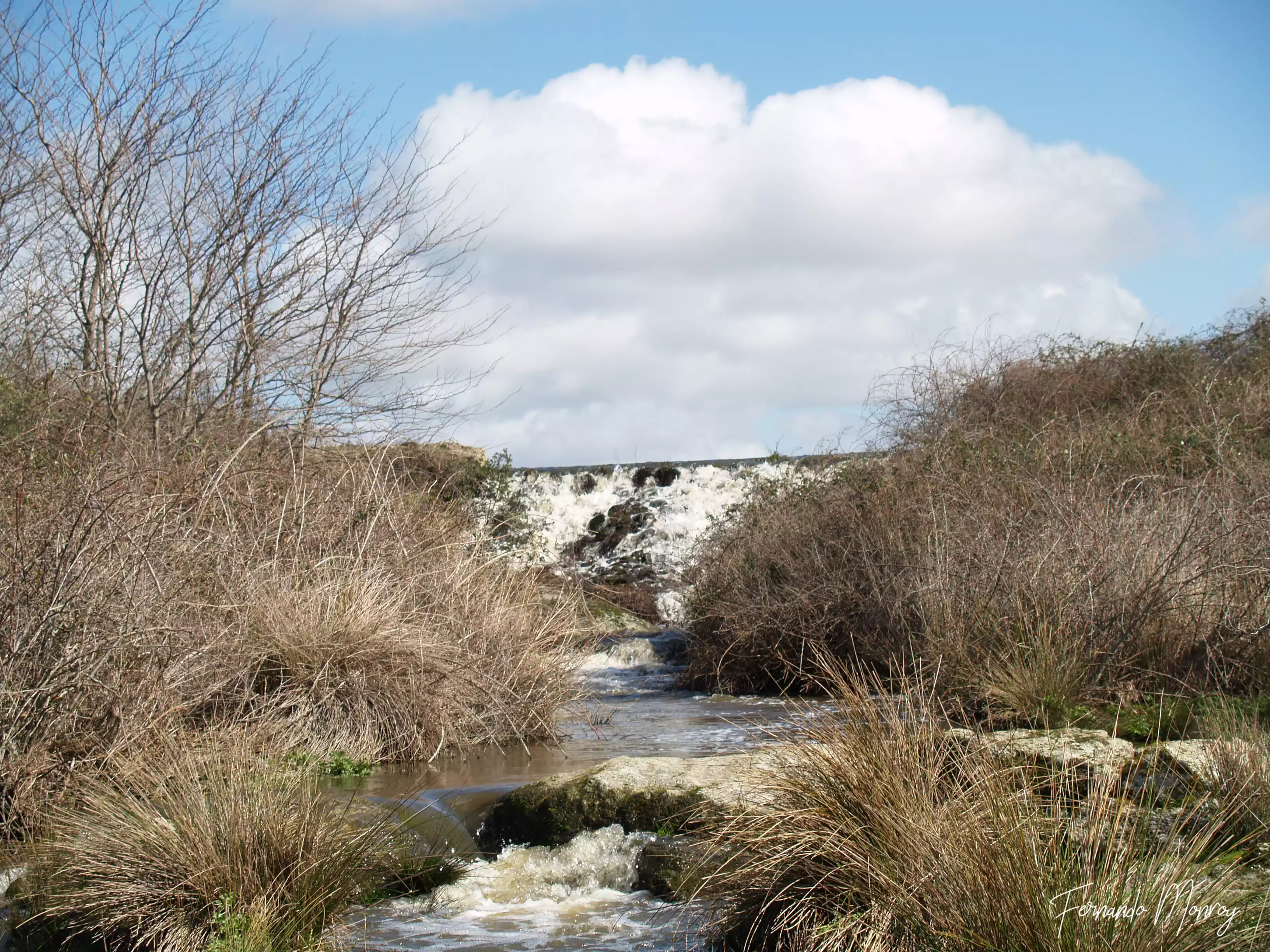 Charca de Lancho, febrero 2010