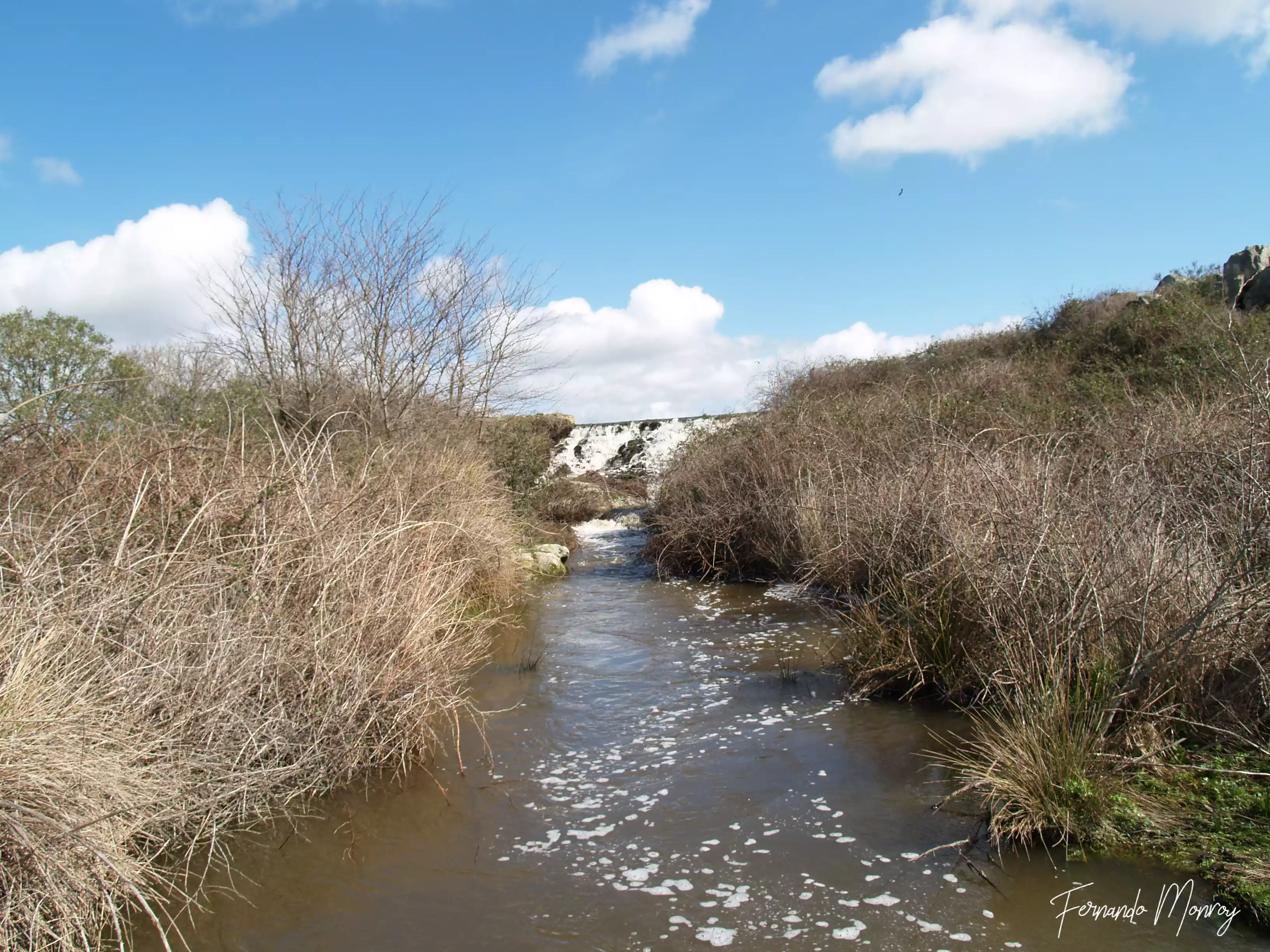Charca de Lancho, febrero 2010