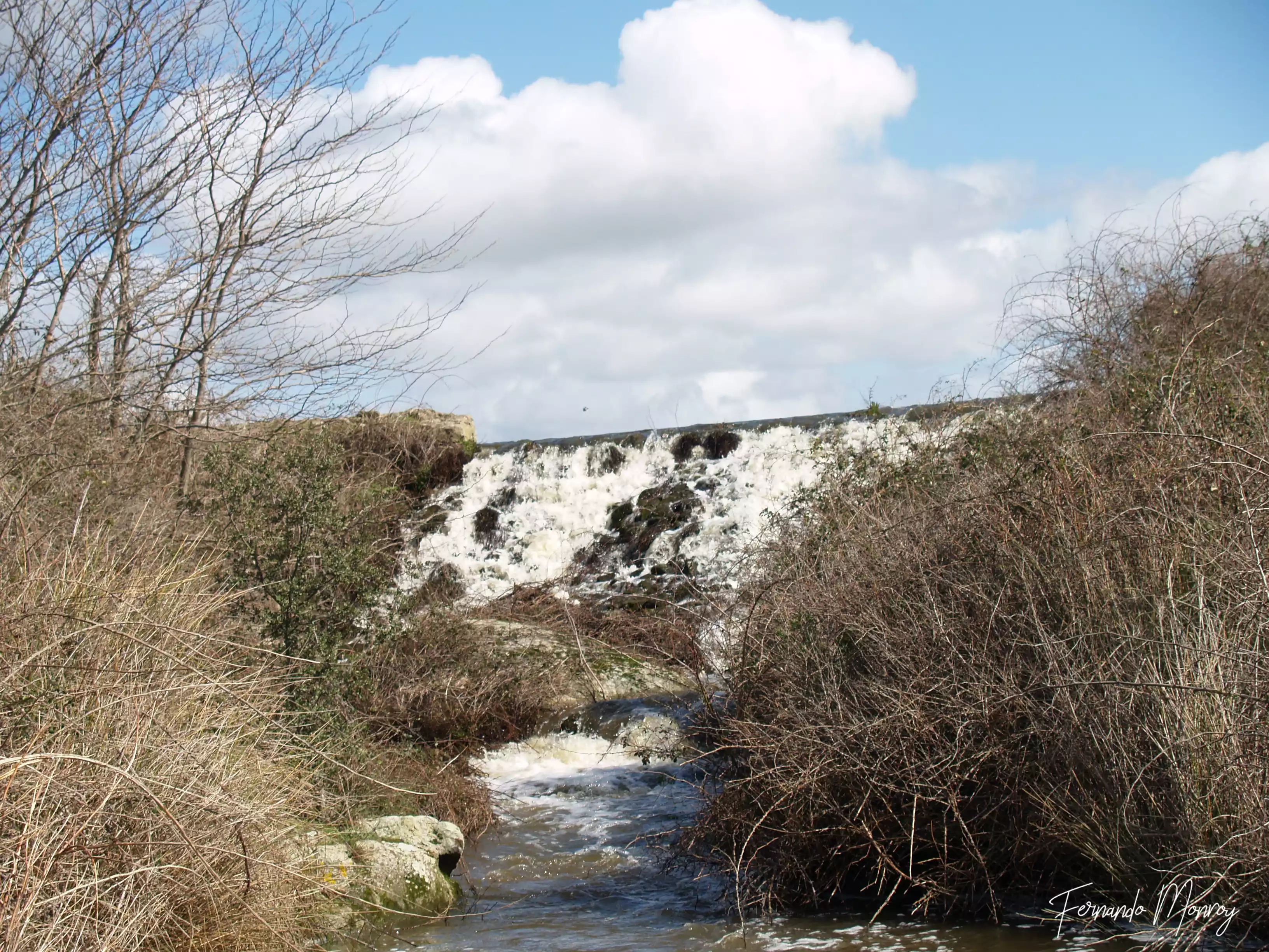 Charca de Lancho, febrero 2010