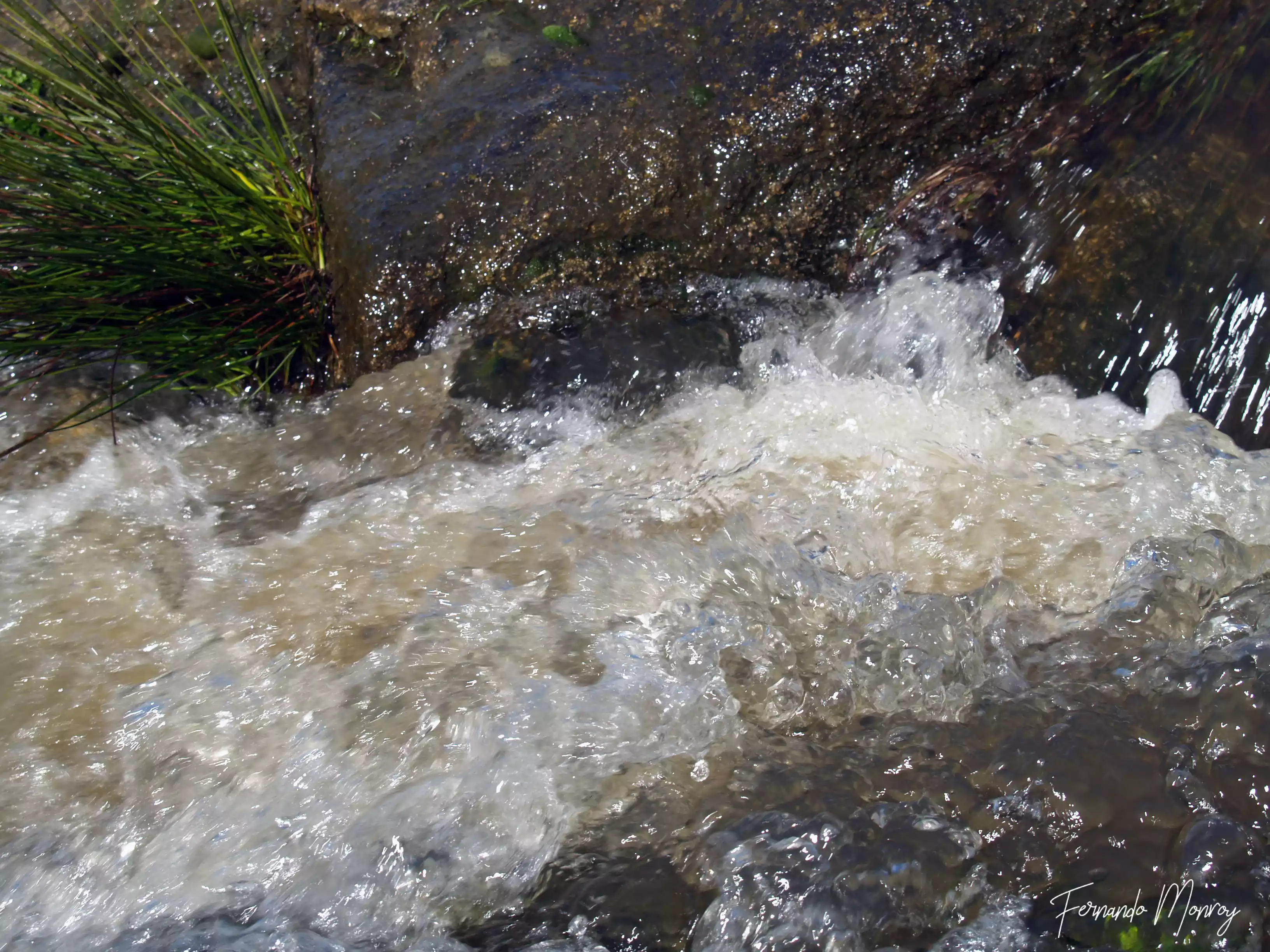 Charca de Lancho, febrero 2010