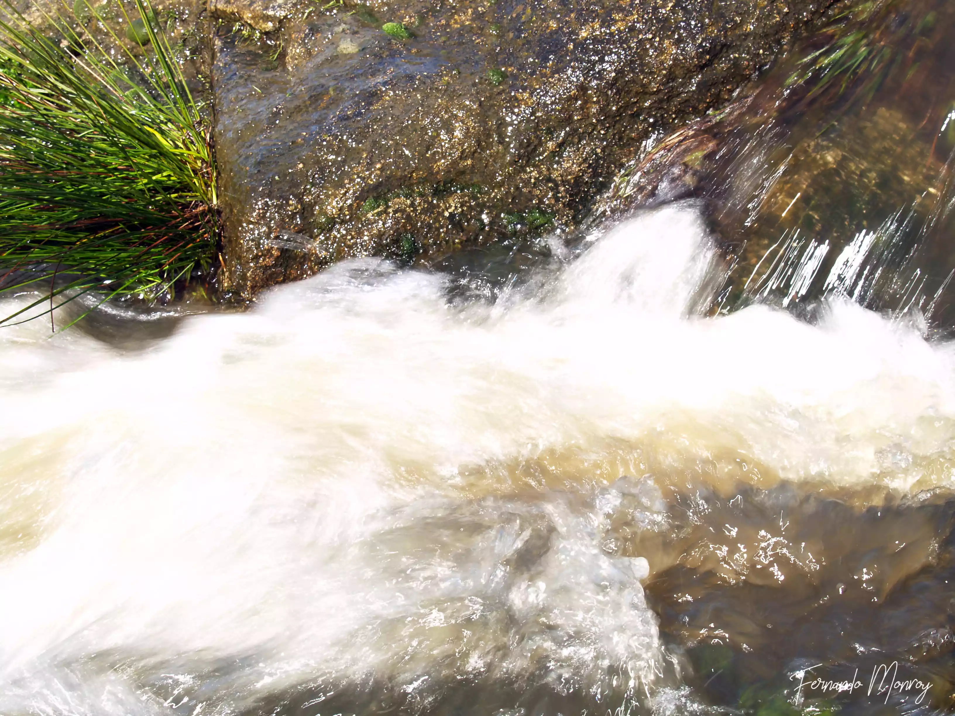 Charca de Lancho, febrero 2010