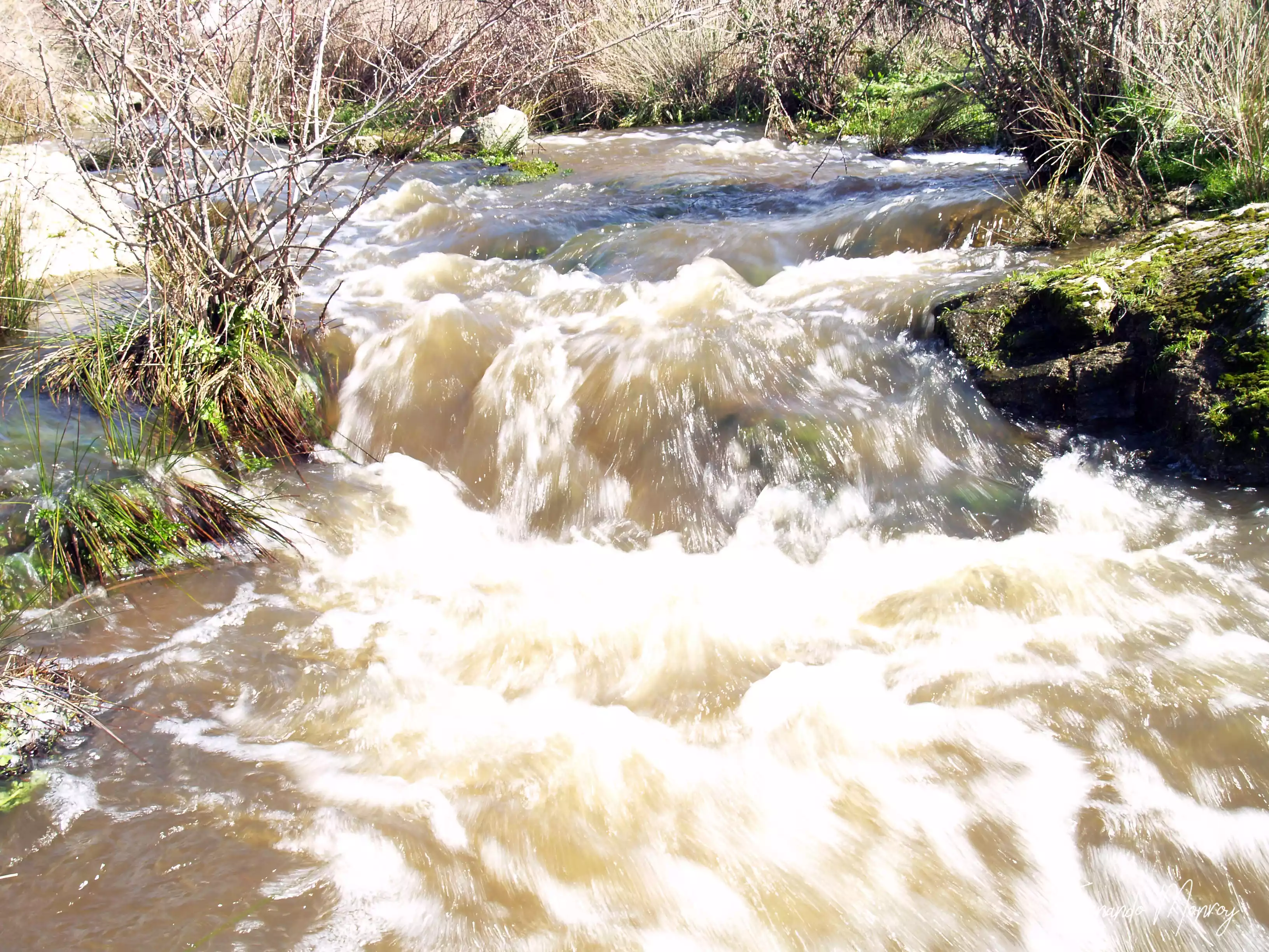 Charca de Lancho, febrero 2010